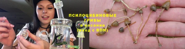 гидра Заволжье