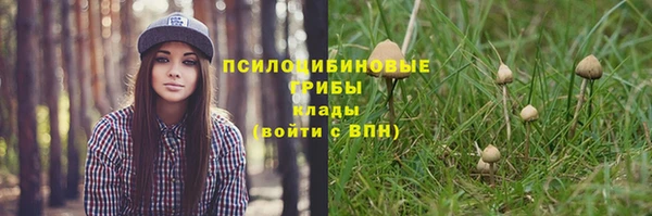 мдпв Зеленокумск