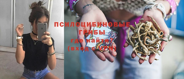 ГАЛЛЮЦИНОГЕННЫЕ ГРИБЫ Заводоуковск