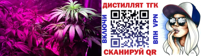 Купить где Сельцо ТГК Wax