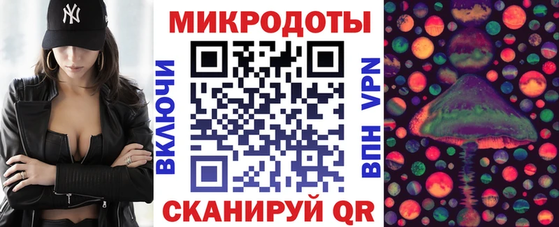 Купить где  Сельцо  Псилоцибиновые грибы мицелий 